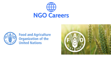 Food and Agriculture Organization (FAO) Internships 2023 - Undergraduate, Postgraduate Students and Recent Graduates