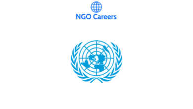 The United Nations Nippon Foundation Fellowship - Fully Funded