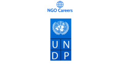 UNDP Data Analyst - Home Based