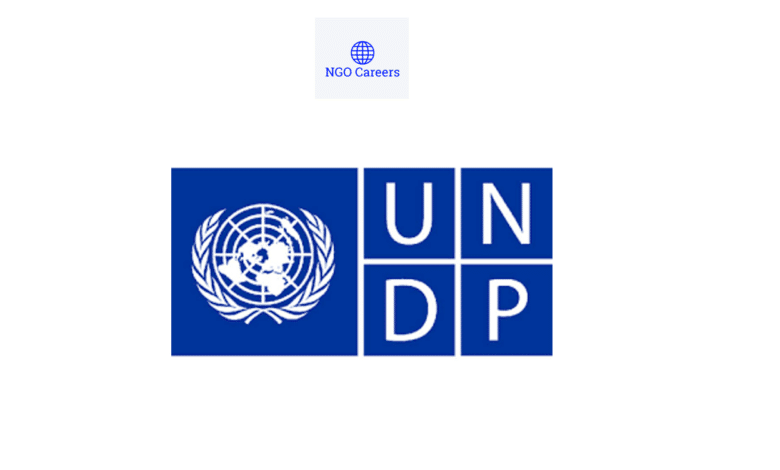x8 SDG Knowledge Interns - UNDP, Home Based